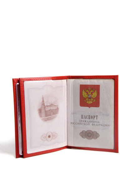 324-19 125 15 Обложка для документов DE-GOSA Красный